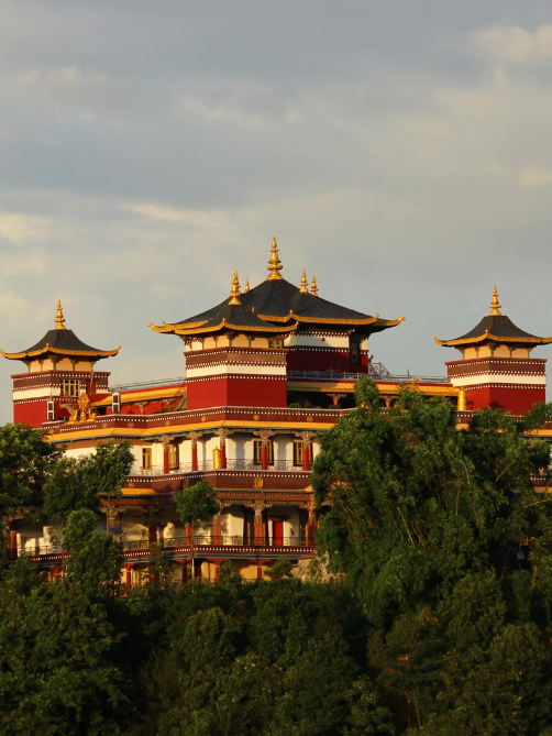 Untitled design 354 × 472px 12 07 2025_11_48_AM